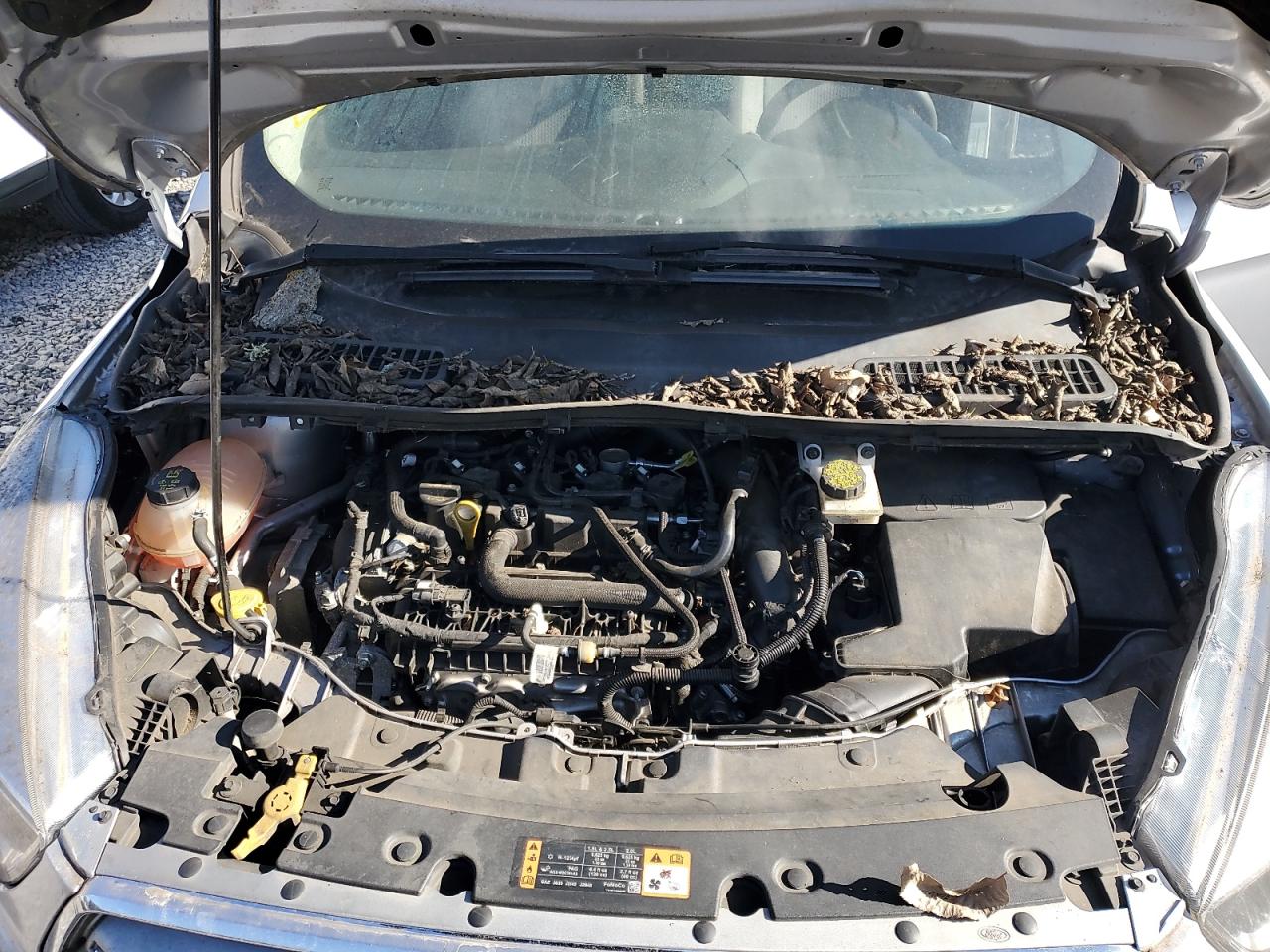 2019 Ford Escape VIN 1FMCU0GD1KUB20455 Copart auction photo, vandalism damage thumbnail 11