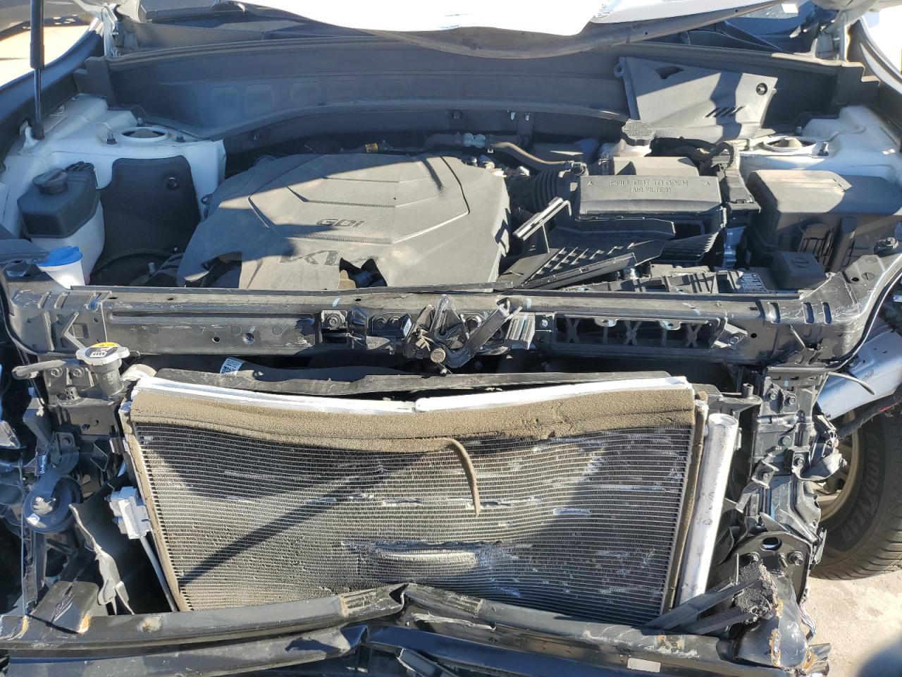 2022 KIA Telluride VIN 5XYP2DHC1NG252839 Copart auction photo, front end / hail damage thumbnail 13