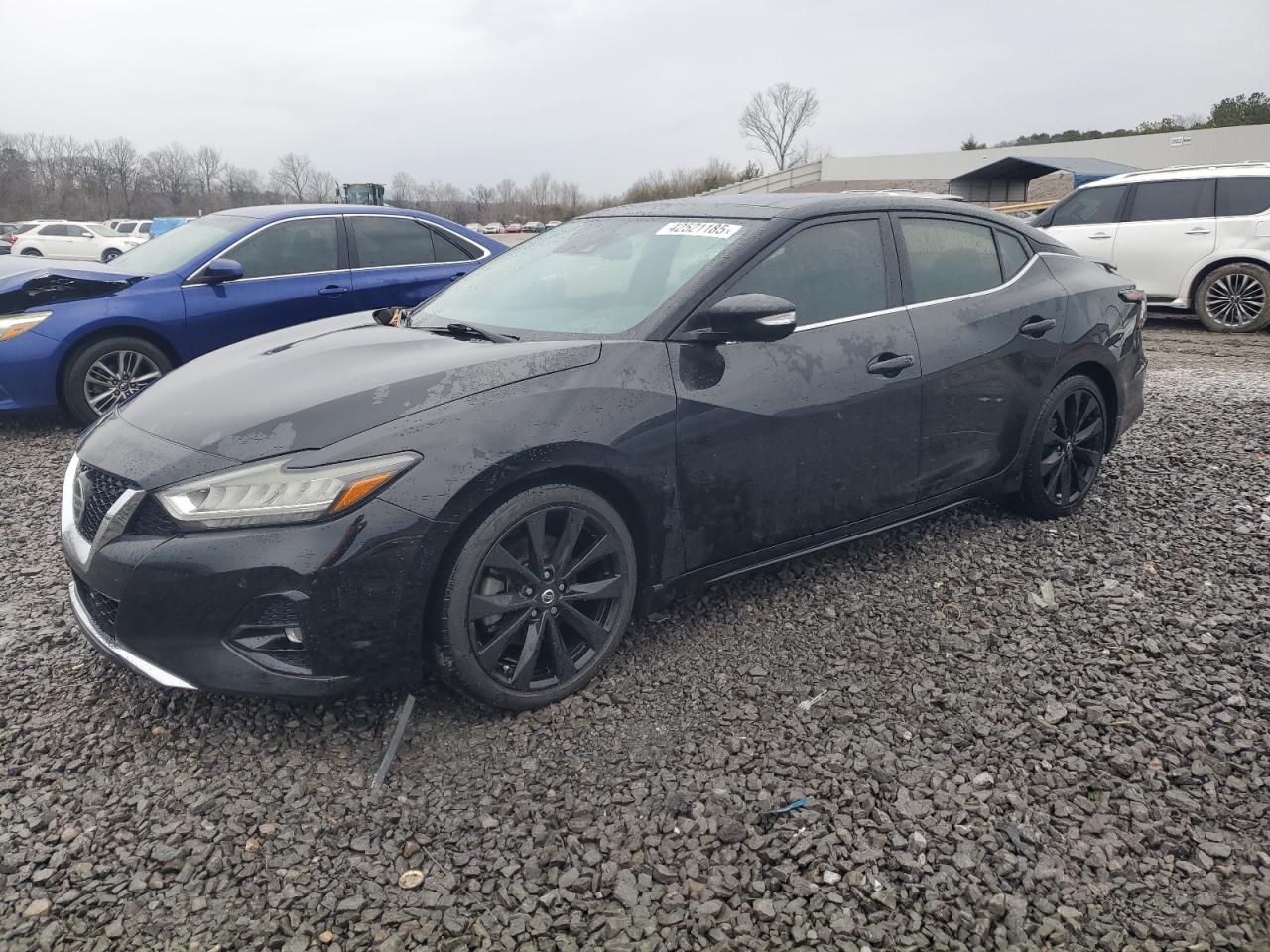 2019 Nissan Maxima VIN 1N4AA6AV2KC375152