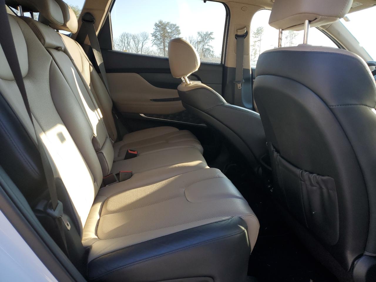 2020 Hyundai Santa Fe VIN 5NMS53AD5LH289913 Copart auction photo, rear end damage thumbnail 12