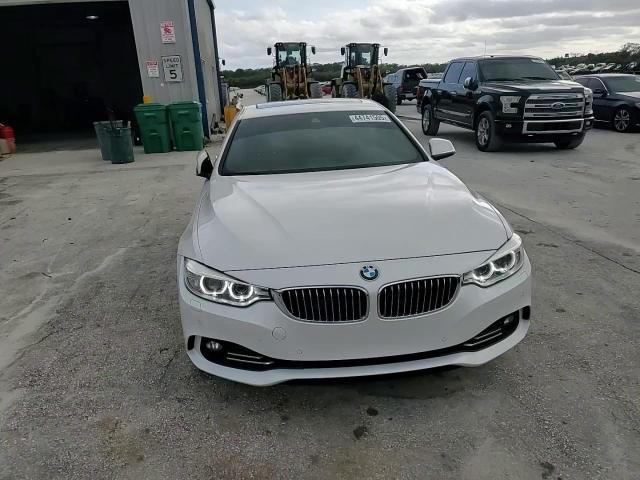 2016 BMW 4er VIN WBA4C9C5XGG135859 Copart auction photo, rear end / hail damage thumbnail 13