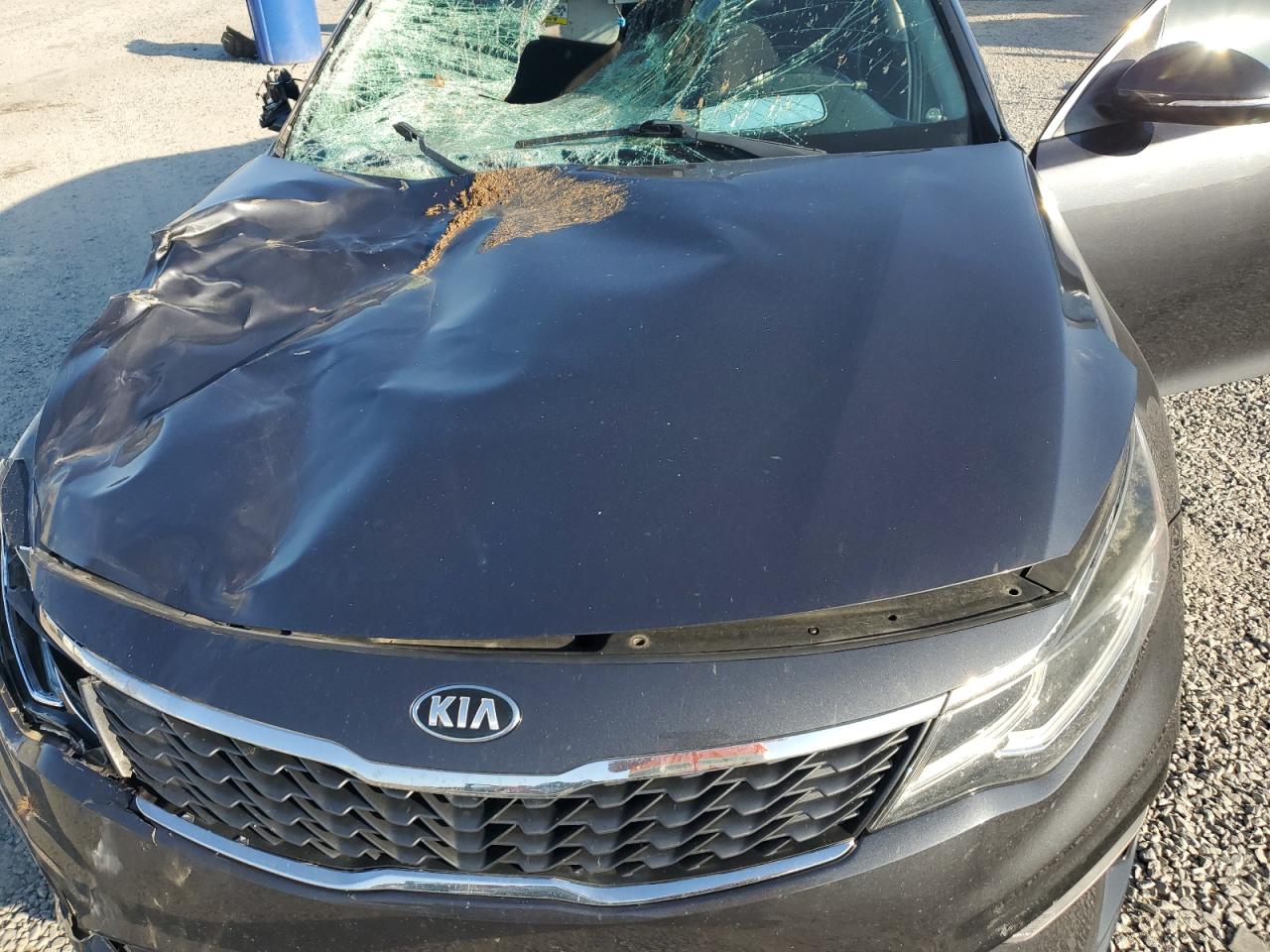 2019 KIA Optima VIN 5XXGT4L38KG284711 Copart auction photo, all over damage thumbnail 13