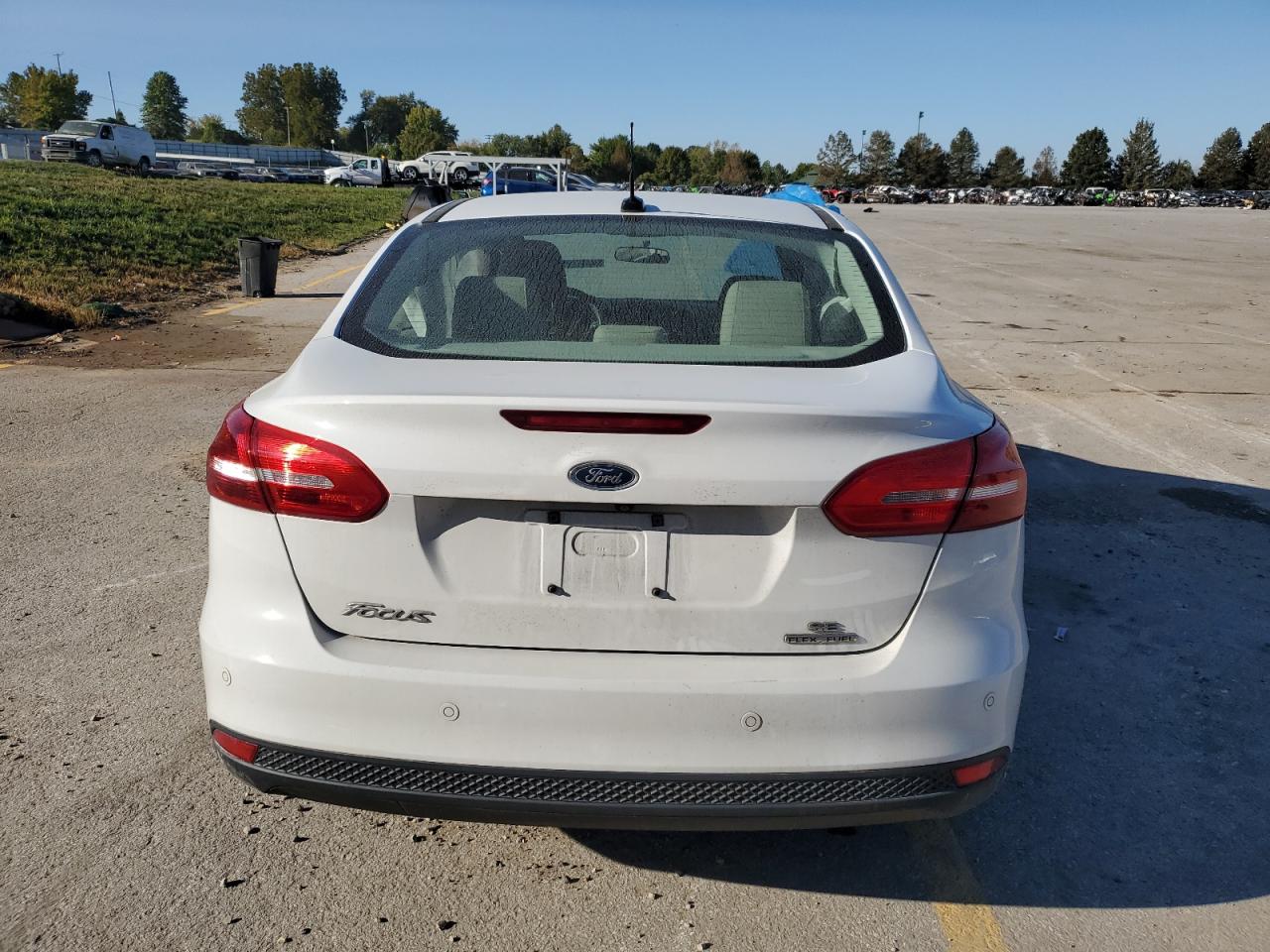 2016 Ford Focus VIN 1FADP3F20GL324295 Copart auction photo, side damage thumbnail 6