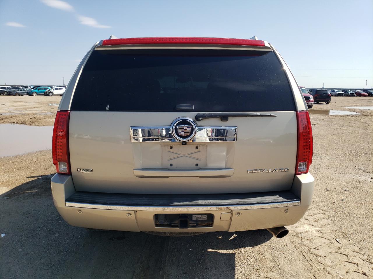 2010 Cadillac Escalade VIN 1GYUCCEF2AR137553 Copart auction photo, hail damage thumbnail 6