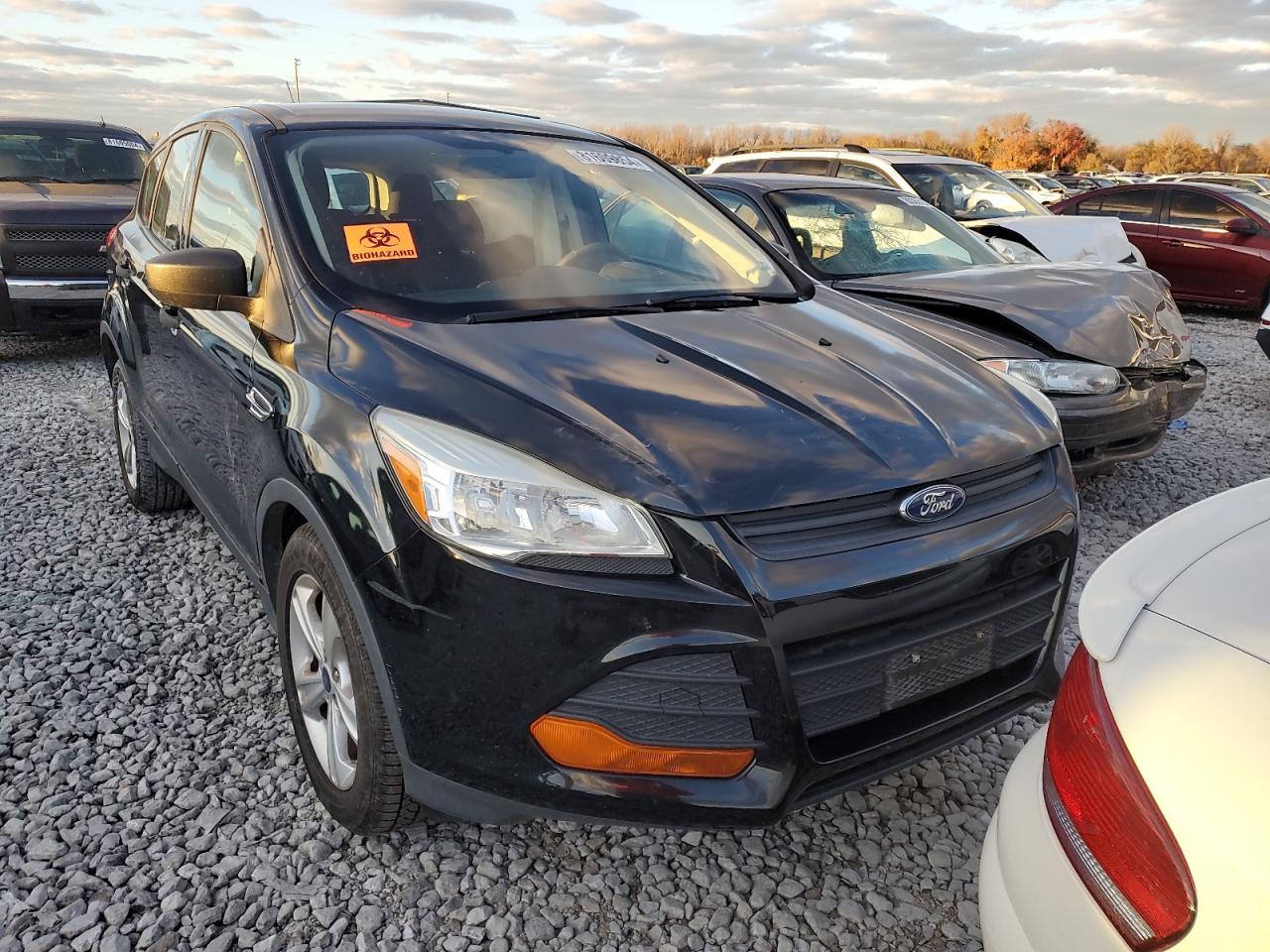 2016 Ford Escape VIN 1FMCU0F74GUA05836 Copart auction photo, side damage thumbnail 5