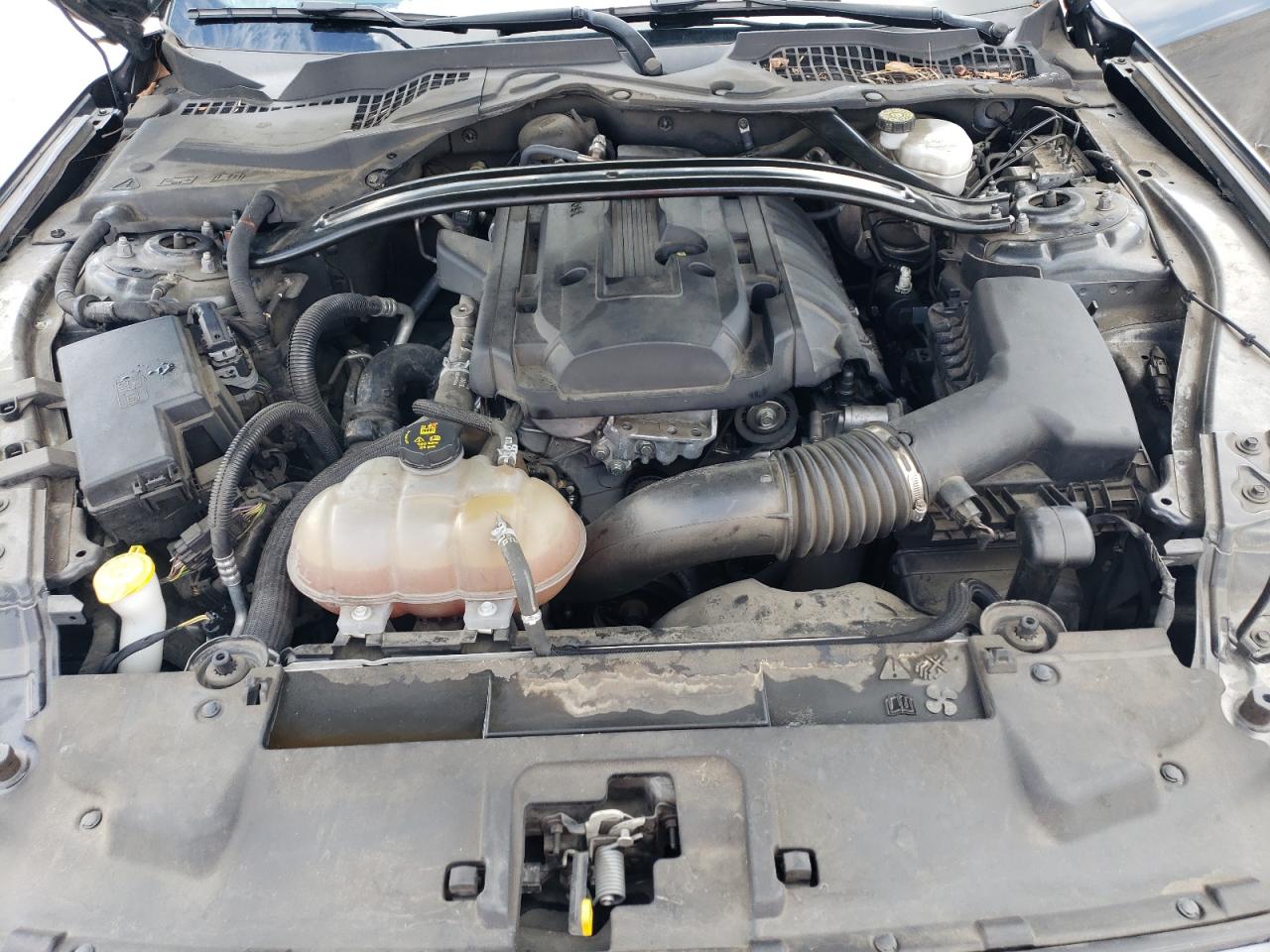2019 Ford Mustang VIN 1FA6P8TH0K5178332 Copart auction photo, side / rear end damage thumbnail 11