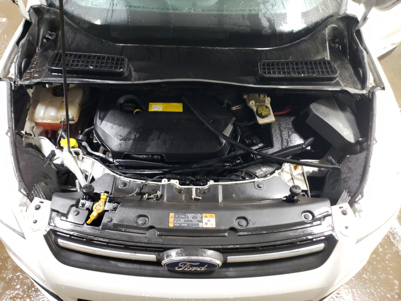 2016 Ford Escape VIN 1FMCU0GX9GUA76884 Copart auction photo, side / front end damage thumbnail 11