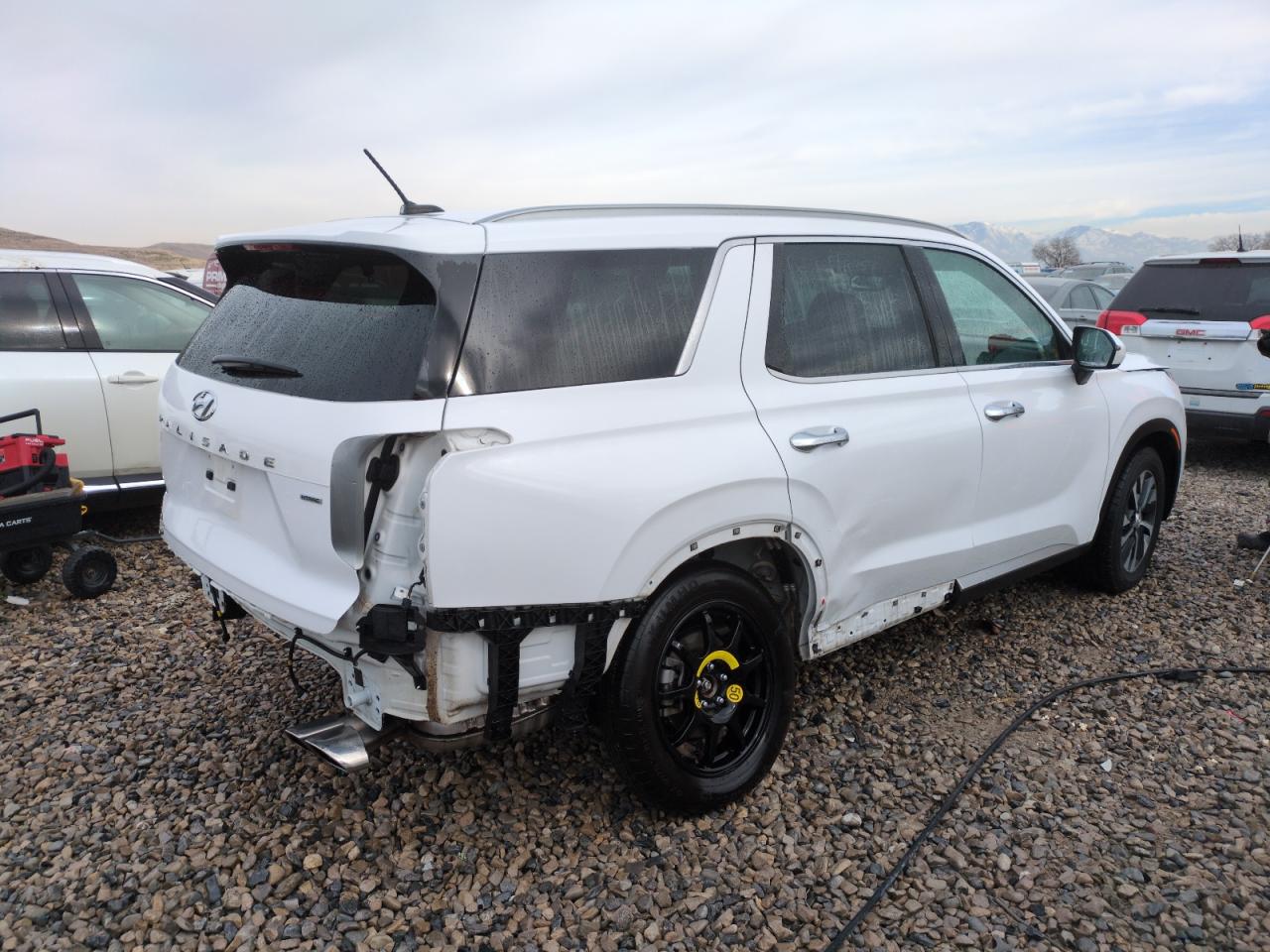 2020 Hyundai Palisade VIN KM8R2DHE9LU055774 Copart auction photo, side / rear end damage thumbnail 3
