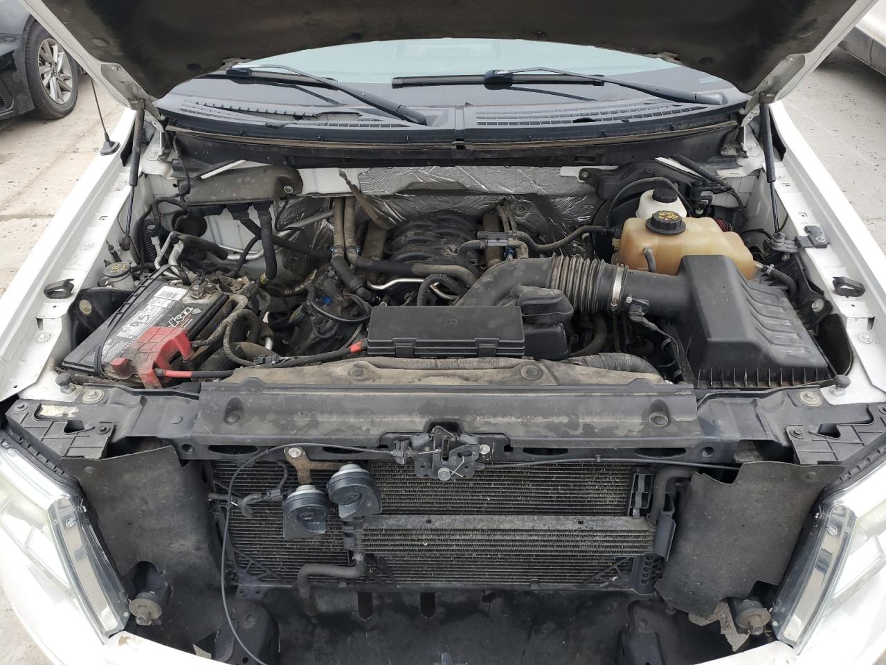 2011 Ford F-150 VIN 1FTFW1EF2BFD14518 Copart auction photo, hail damage thumbnail 11