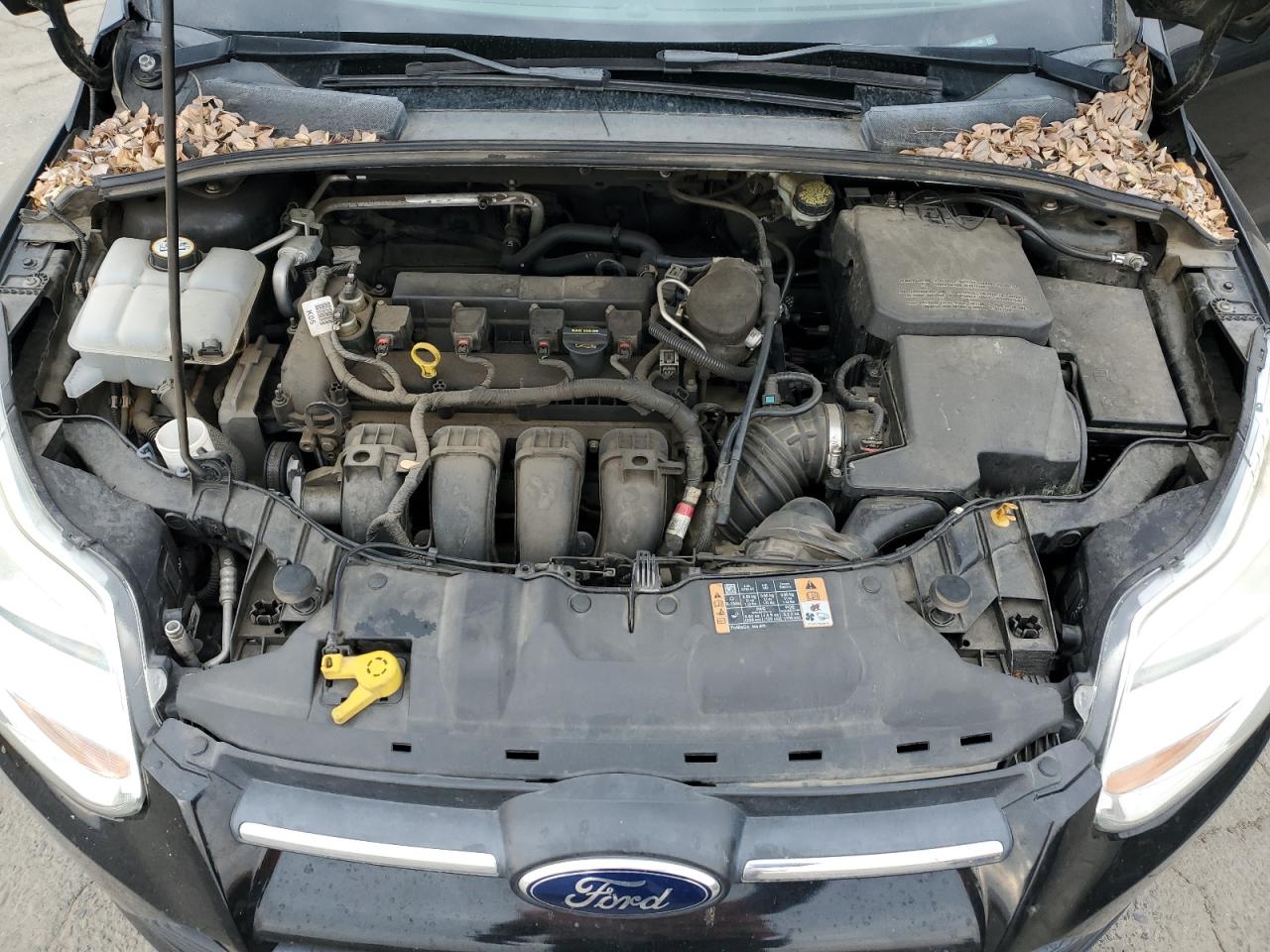 2014 Ford Focus VIN 1FADP3K29EL306140 Copart auction photo, rear end damage thumbnail 11
