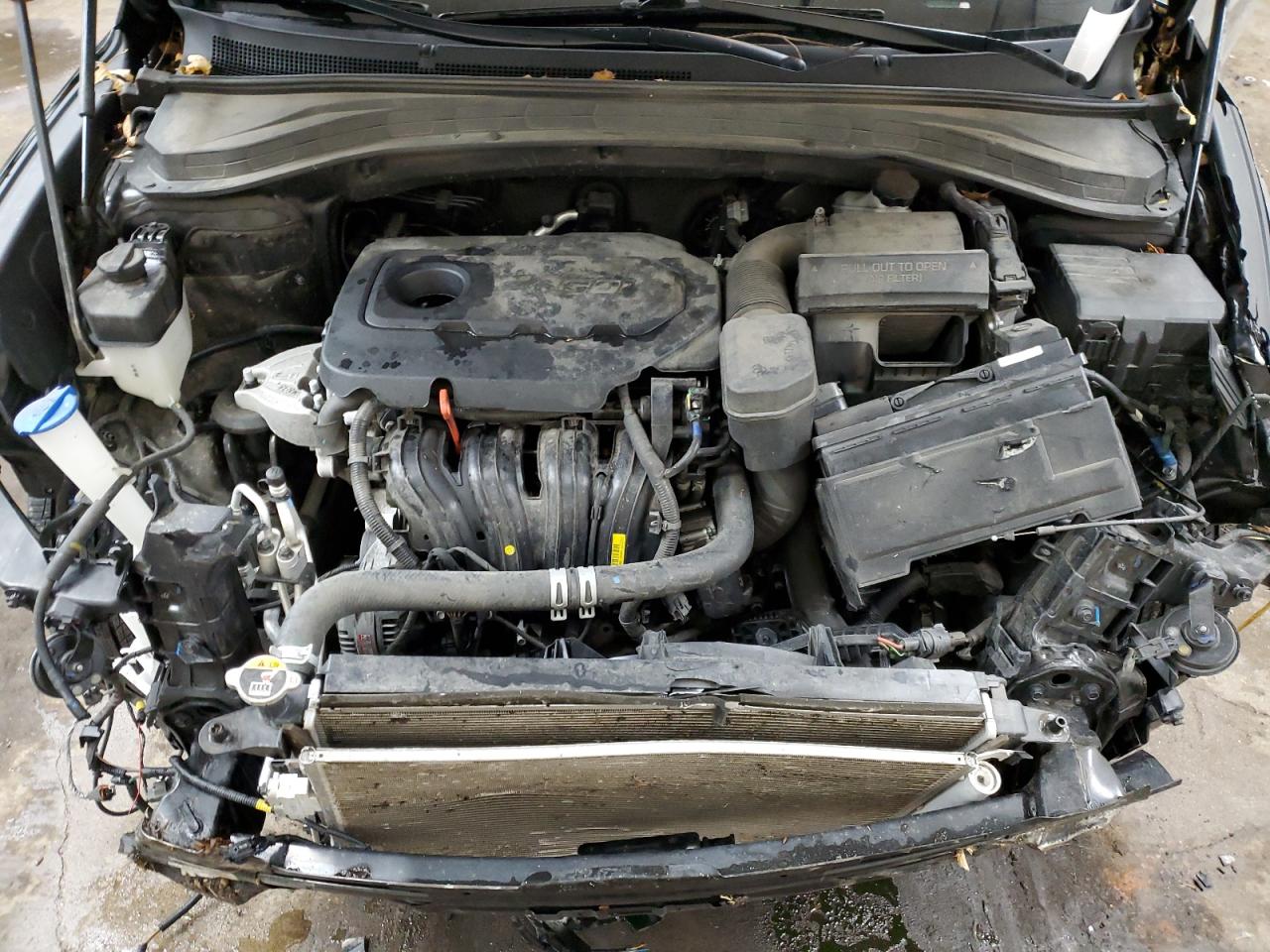2020 Hyundai Santa Fe VIN 5NMS2CAD3LH191746 Copart auction photo, all over damage thumbnail 13