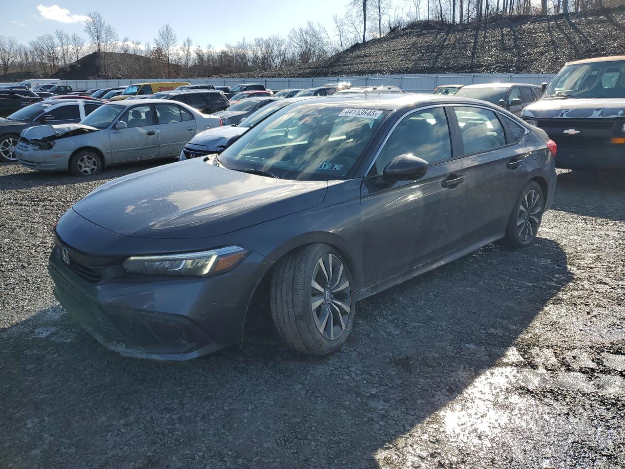 2024 Honda Civic VIN 2HGFE1F74RH320437