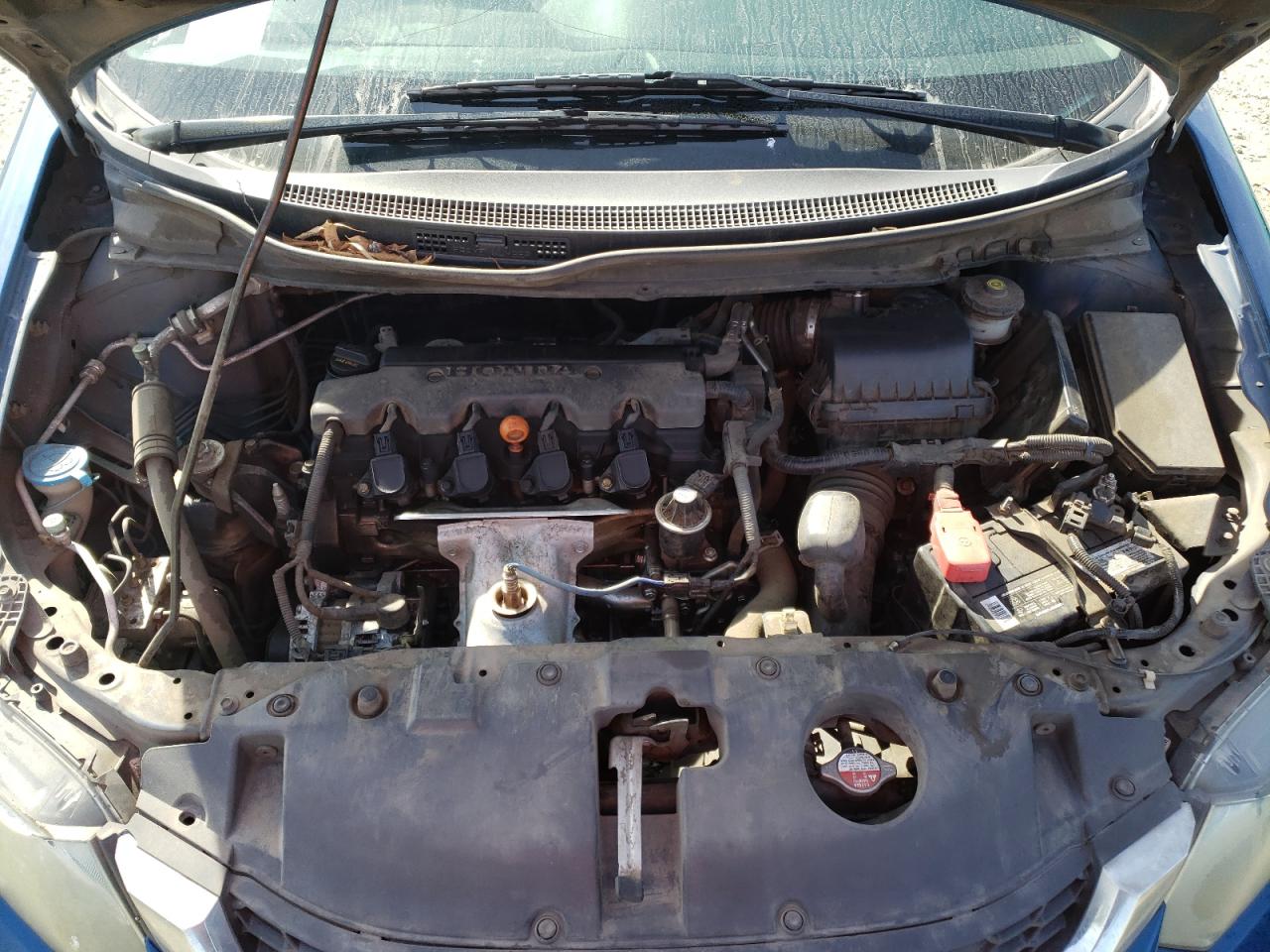 2015 Honda Civic VIN 2HGFB2F54FH516550 Copart auction photo, side damage thumbnail 11