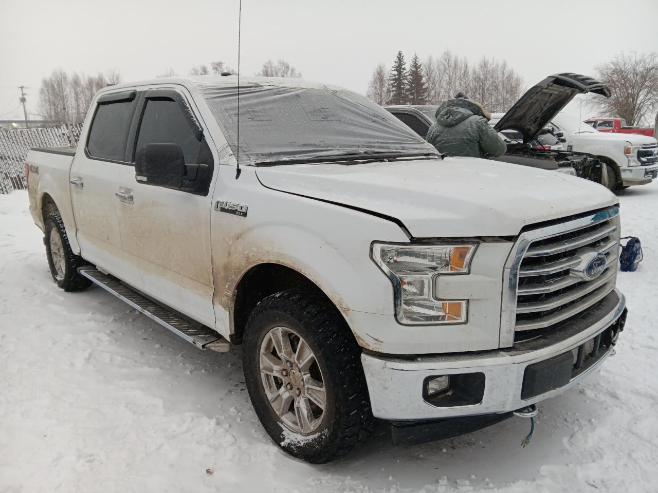 2017 Ford F-150 VIN 1FTEW1EP2HKC15895 Copart auction photo, side damage thumbnail 4