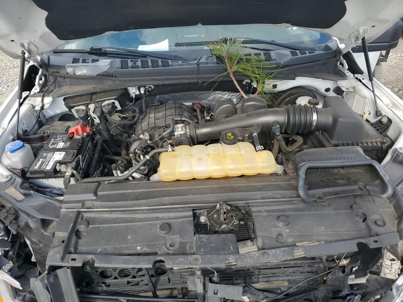 2018 Ford F-150 VIN 1FTEW1CB8JFC30701 Copart auction photo, front end / rear end damage thumbnail 11