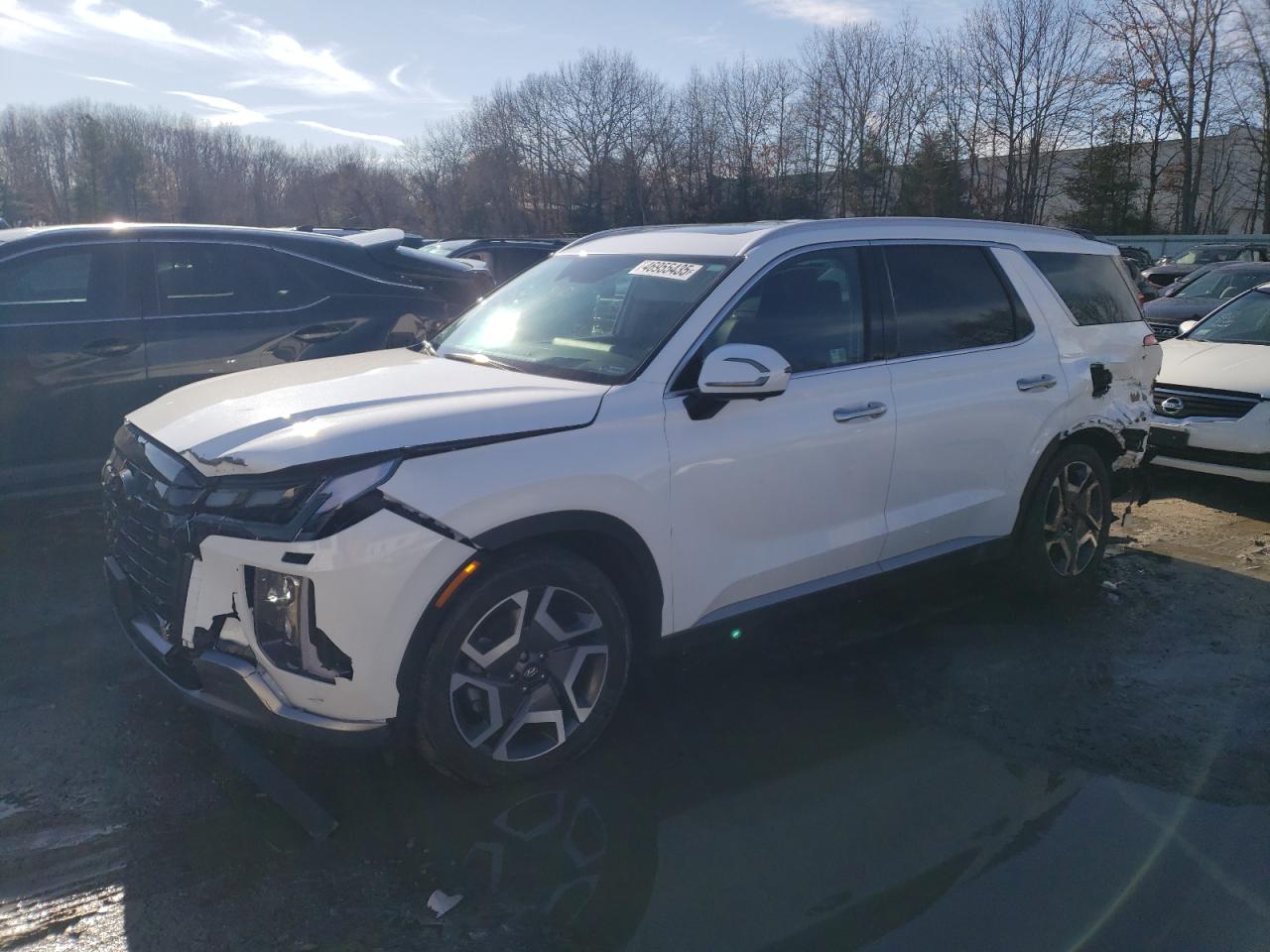 2024 Hyundai Palisade VIN KM8R5DGEXRU718044