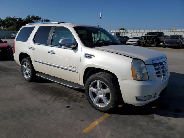 2010 Cadillac Escalade VIN 1GYUKAEFXAR108860 Copart auction photo, hail damage thumbnail 4