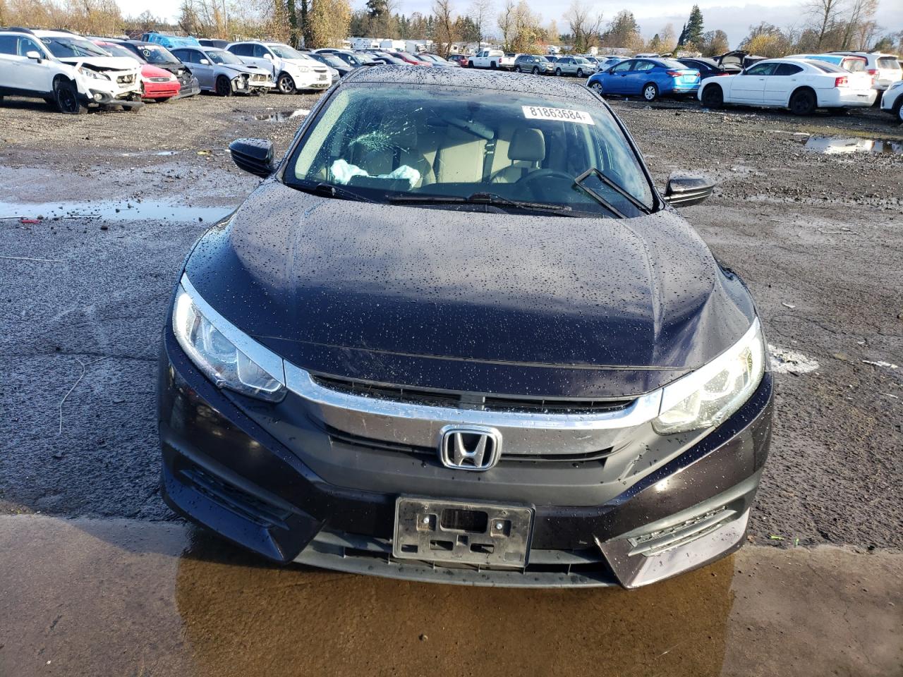 2017 Honda Civic VIN 19XFC2F5XHE224721 Copart auction photo, side damage thumbnail 5