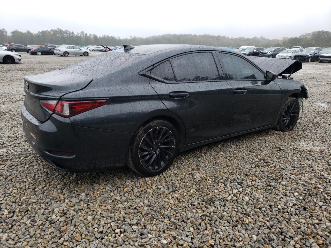 2019 Lexus ES VIN 58ABZ1B1XKU038135 Copart auction photo, front end / rear end damage thumbnail 3