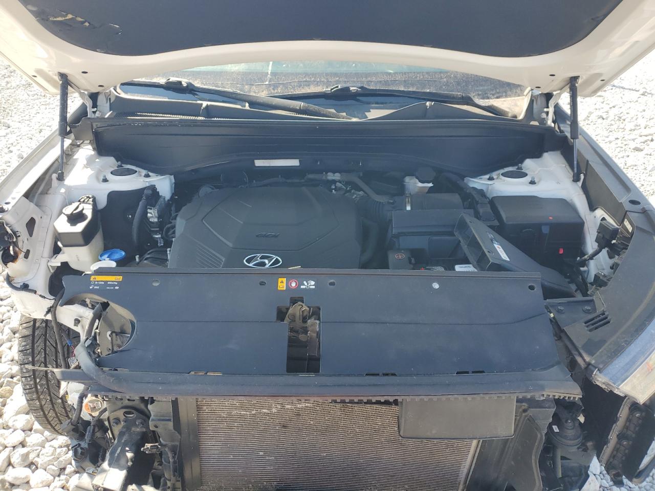 2020 Hyundai Palisade VIN KM8R1DHE7LU065593 Copart auction photo, front end damage thumbnail 12