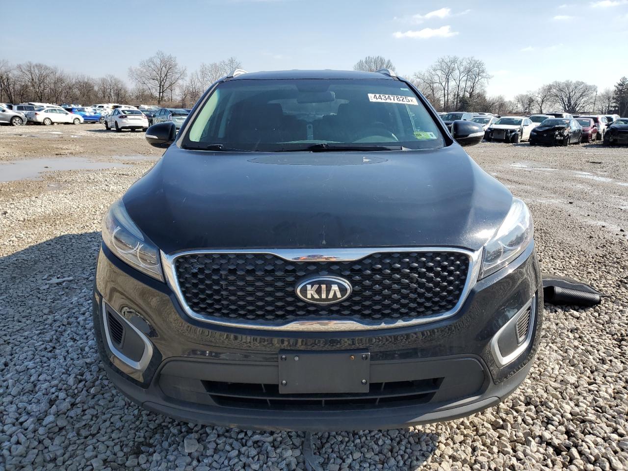 2018 KIA Sorento VIN 5XYPGDA59JG423540 Copart auction photo, rear end / side damage thumbnail 5
