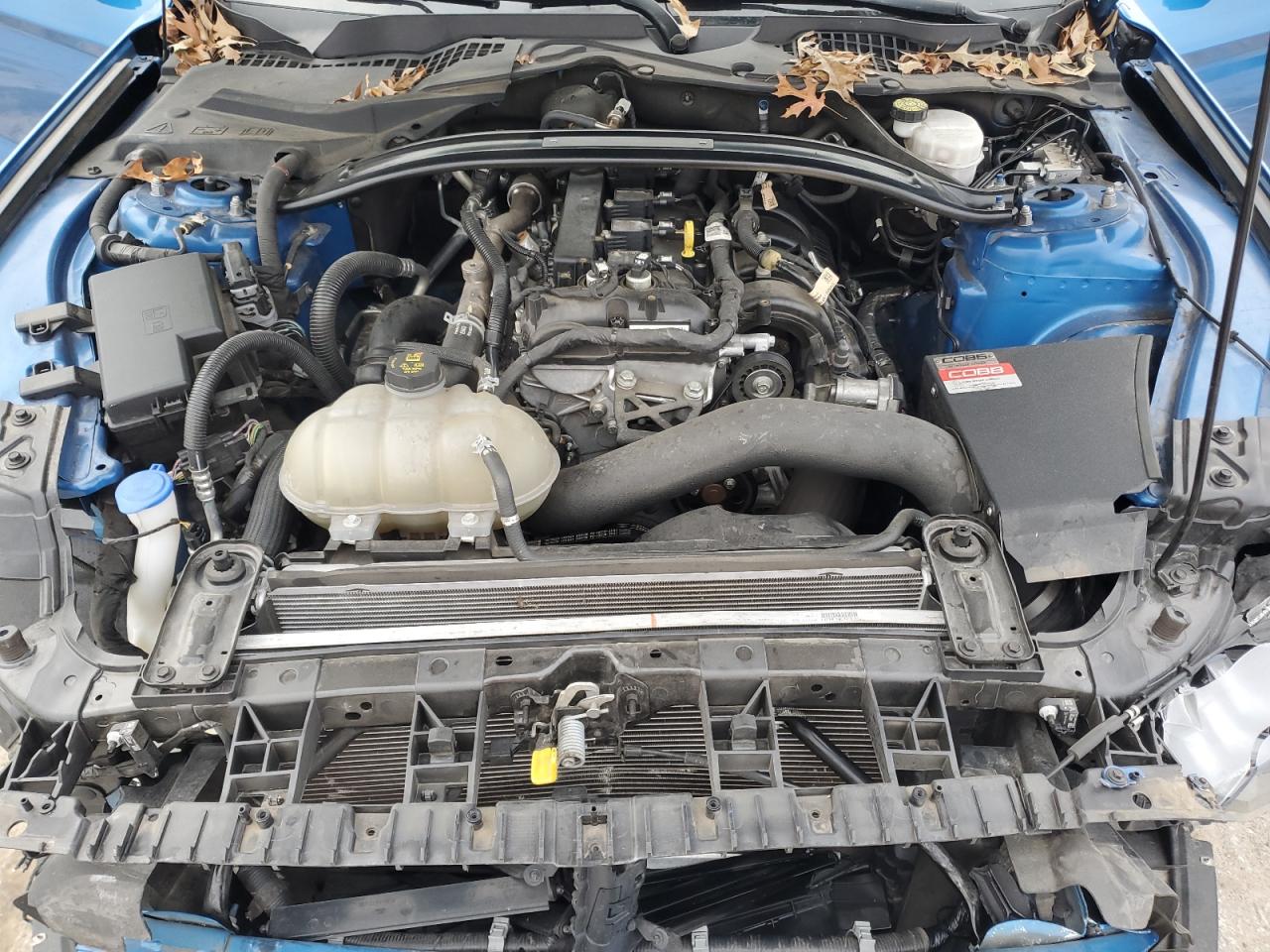 2021 Ford Mustang VIN 1FA6P8TH9M5111313 Copart auction photo, front end / minor dent/scratches damage thumbnail 11