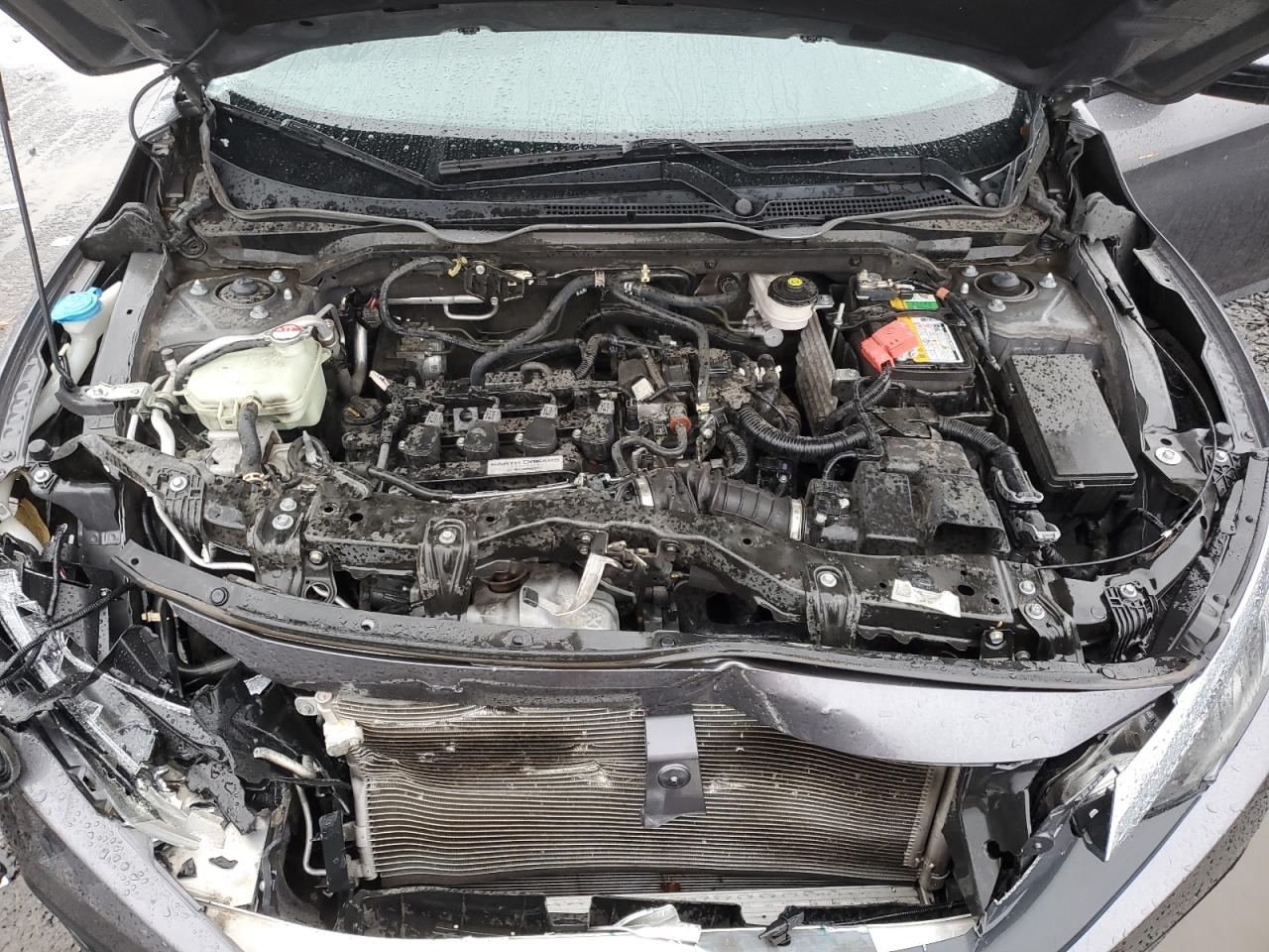 2018 Honda Civic VIN 2HGFC1E31JH646608 Copart auction photo, front end damage thumbnail 11