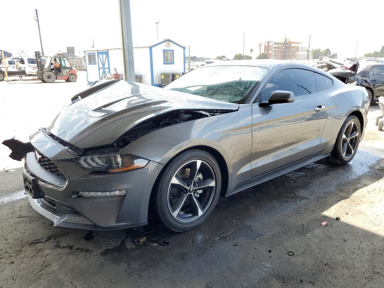 2021 Ford Mustang VIN 1FA6P8TH4M5158359