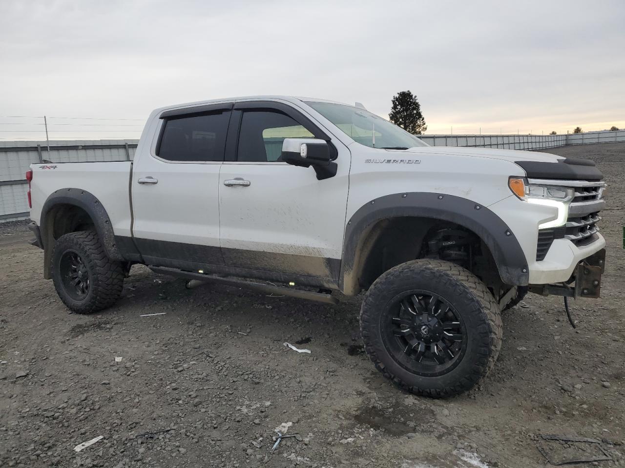 2023 Chevrolet Silverado VIN 1GCUDGEL5PZ222959 Copart auction photo, all over damage thumbnail 4