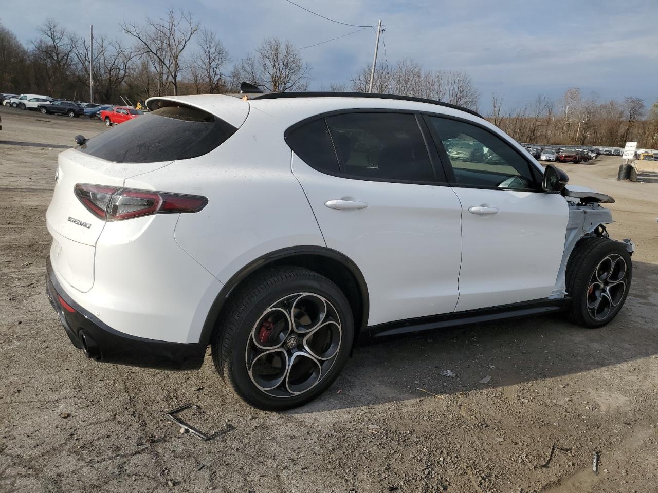 2024 Alfa Romeo Stelvio VIN ZASPAKBN5R7D72610 Copart auction photo, front end / minor dent/scratches damage thumbnail 3