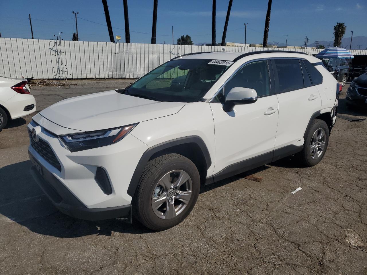 2024 Toyota RAV 4 VIN JTMRWRFV0RD270431
