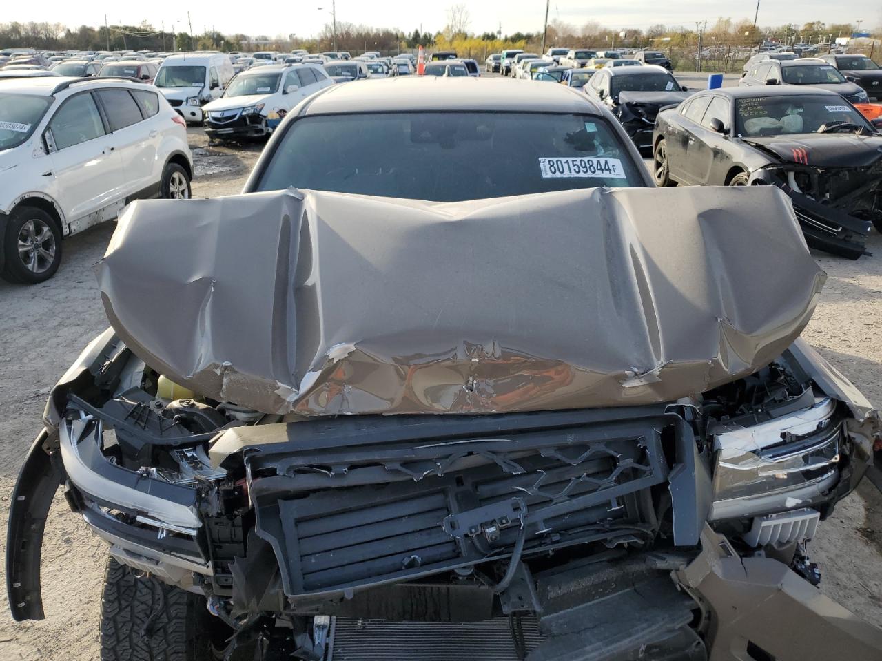 2024 Nissan Navara (Frontier) VIN 1N6ED1EKXRN607532 Copart auction photo, front end / minor dent/scratches damage thumbnail 13