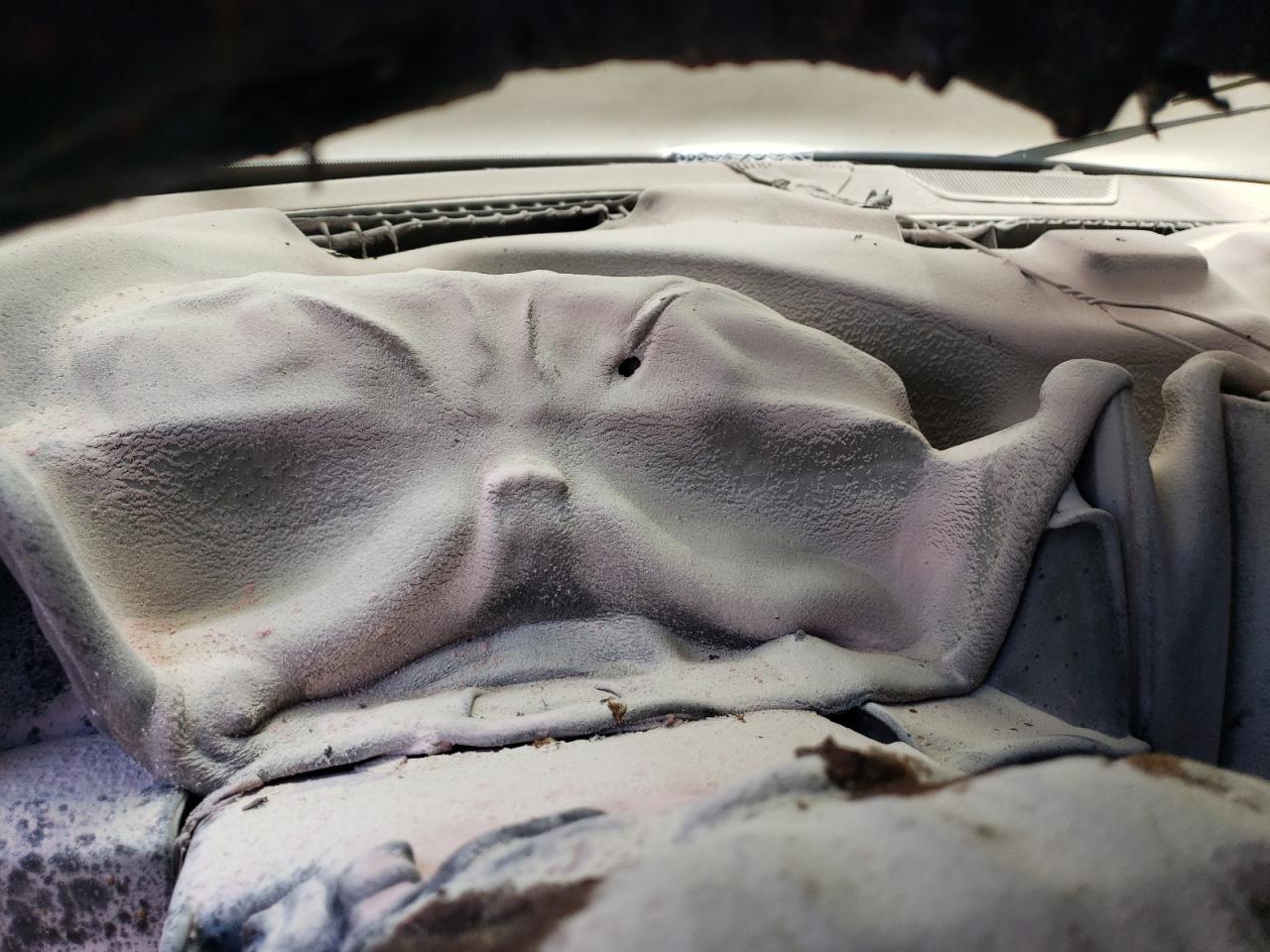 2009 Dodge RAM VIN 1D3HV13P19J528745 Copart auction photo, burn damage thumbnail 9