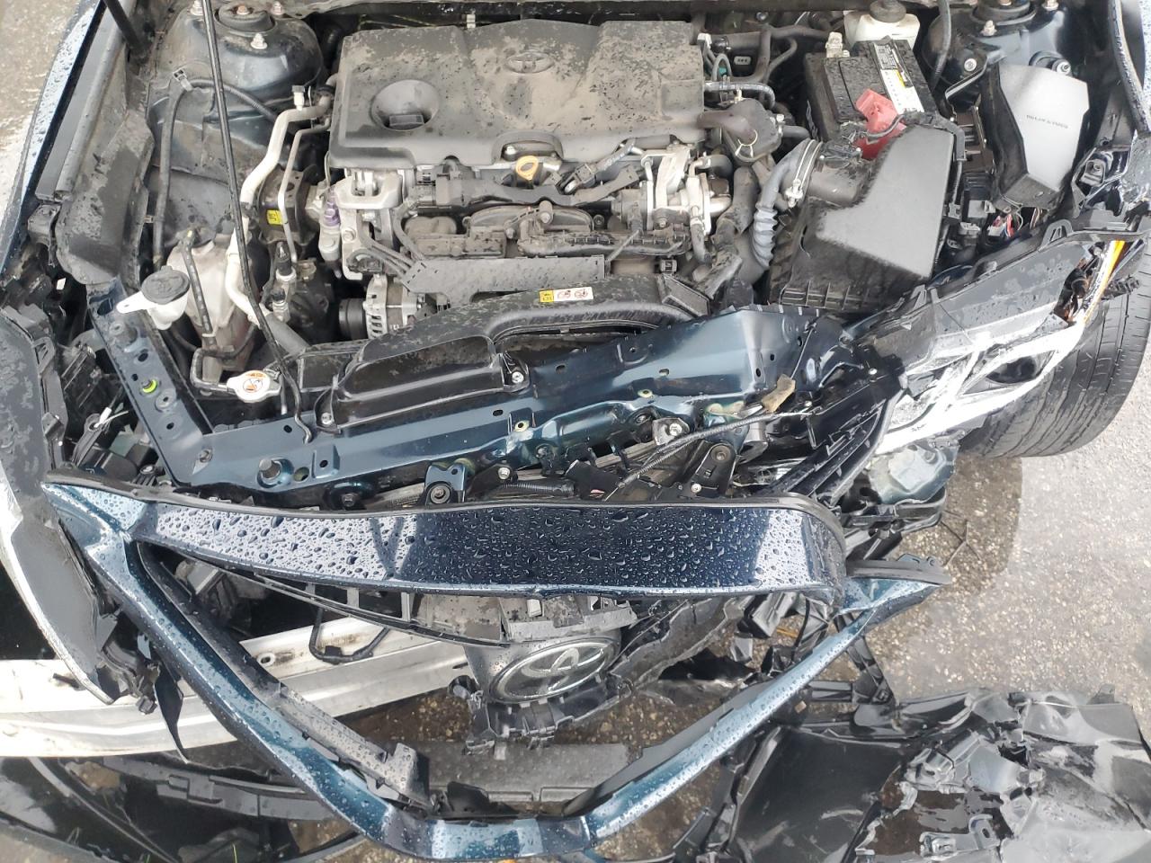 2019 Toyota Camry VIN 4T1B11HK7KU692833 Copart auction photo, mechanical damage thumbnail 11