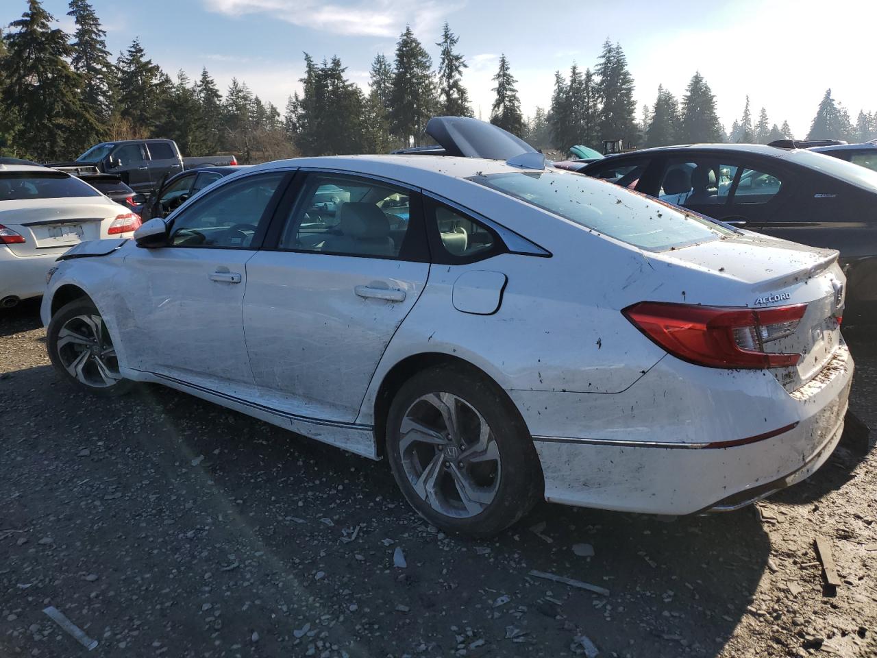 2019 Honda Accord VIN 1HGCV1F4XKA084261 Copart auction photo, all over damage thumbnail 2