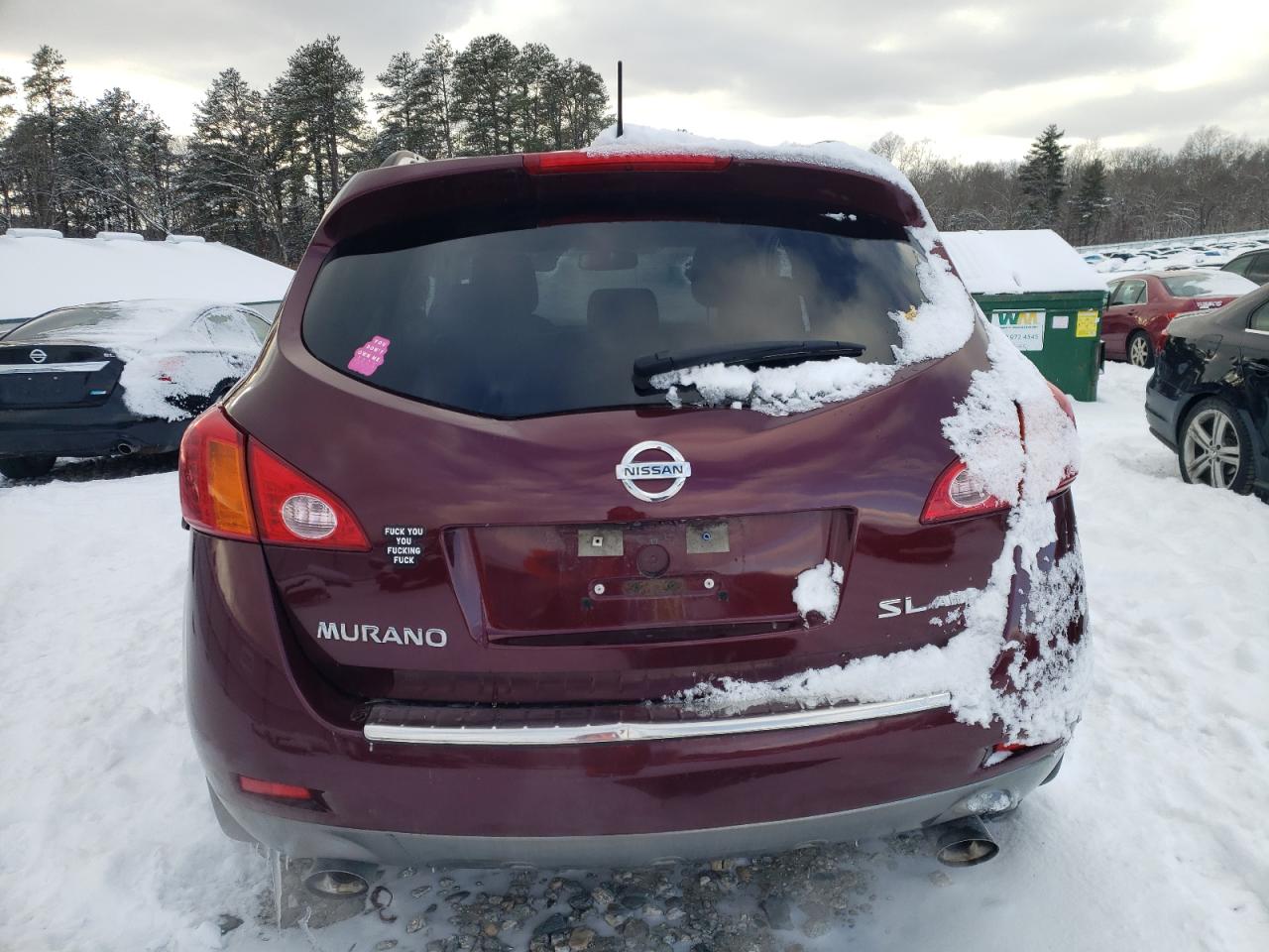 2010 Nissan Murano VIN JN8AZ1MW2AW134798 Copart auction photo, front end / side damage thumbnail 6