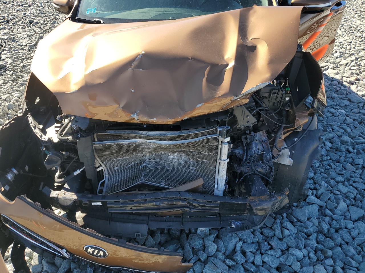 2019 KIA Sportage VIN KNDPNCAC7K7600146 Copart auction photo, front end / side damage thumbnail 12