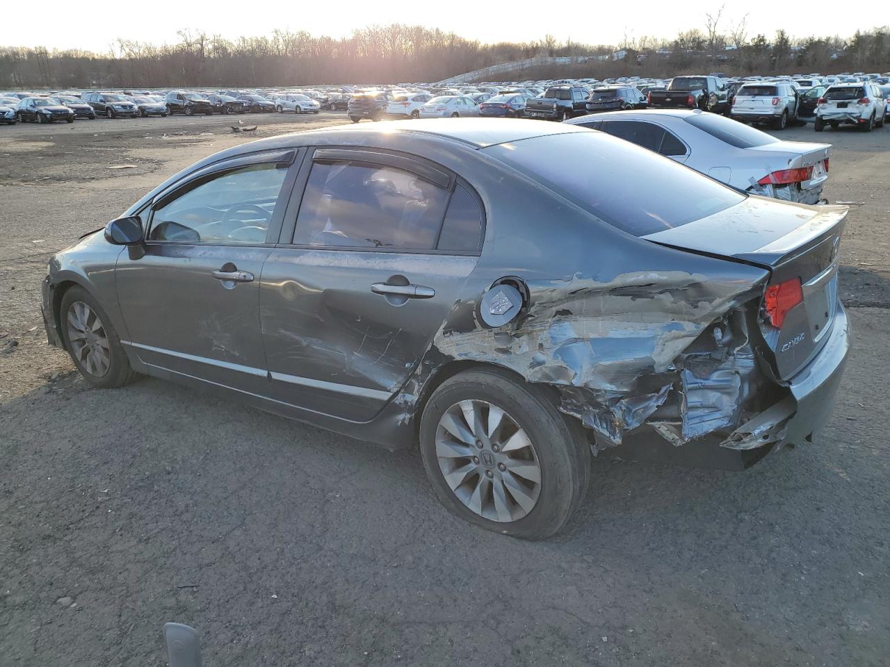 2010 Honda Civic VIN 2HGFA1F87AH550269 Copart auction photo, all over damage thumbnail 2