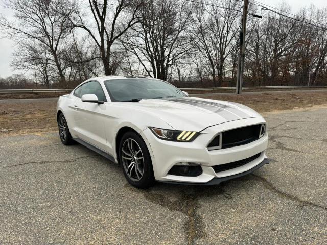 2017 Ford Mustang VIN 1FA6P8TH8H5356996