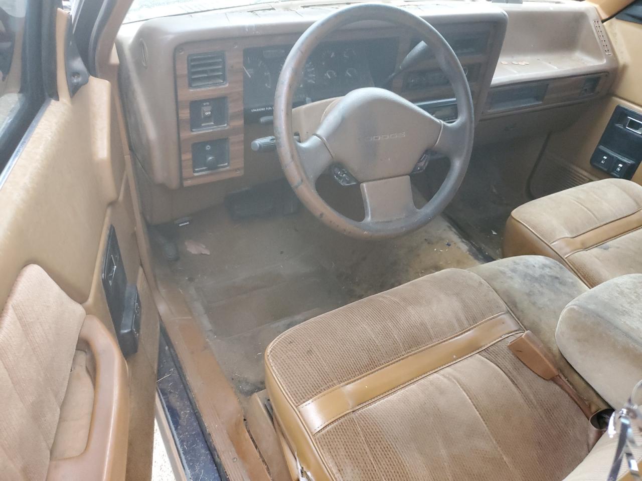 1992 Dodge Dakota VIN 1B7GL23Y2NS657705 Copart auction photo, side / minor dent/scratches damage thumbnail 8