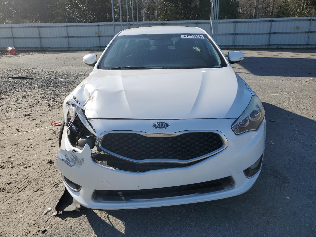 2014 KIA Cadenza VIN KNALN4D74E5138578 Copart auction photo, front end damage thumbnail 5