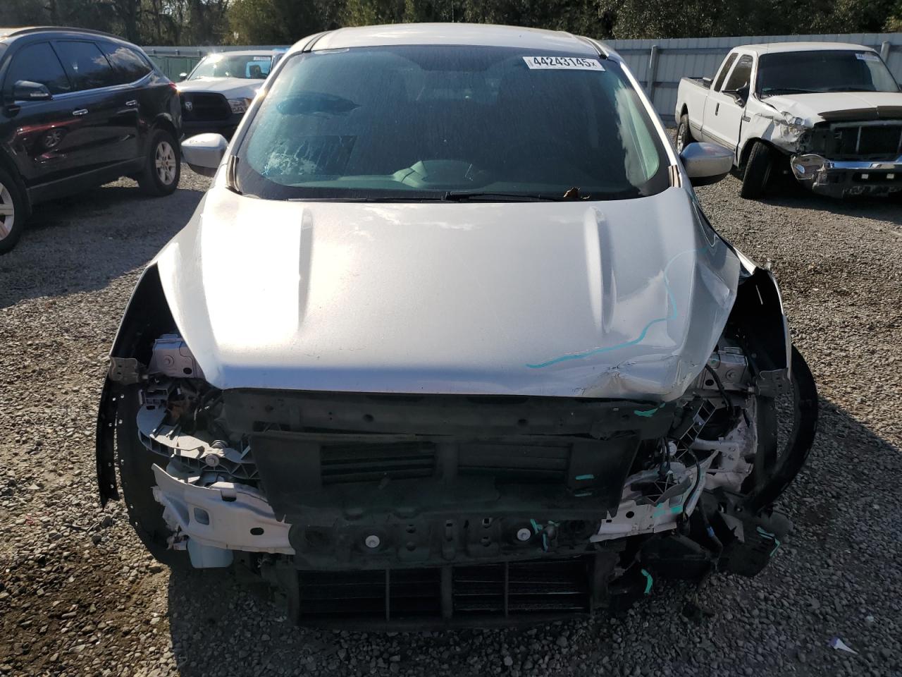 2019 Ford Escape VIN 1FMCU0GD4KUA90156 Copart auction photo, front end / side damage thumbnail 5