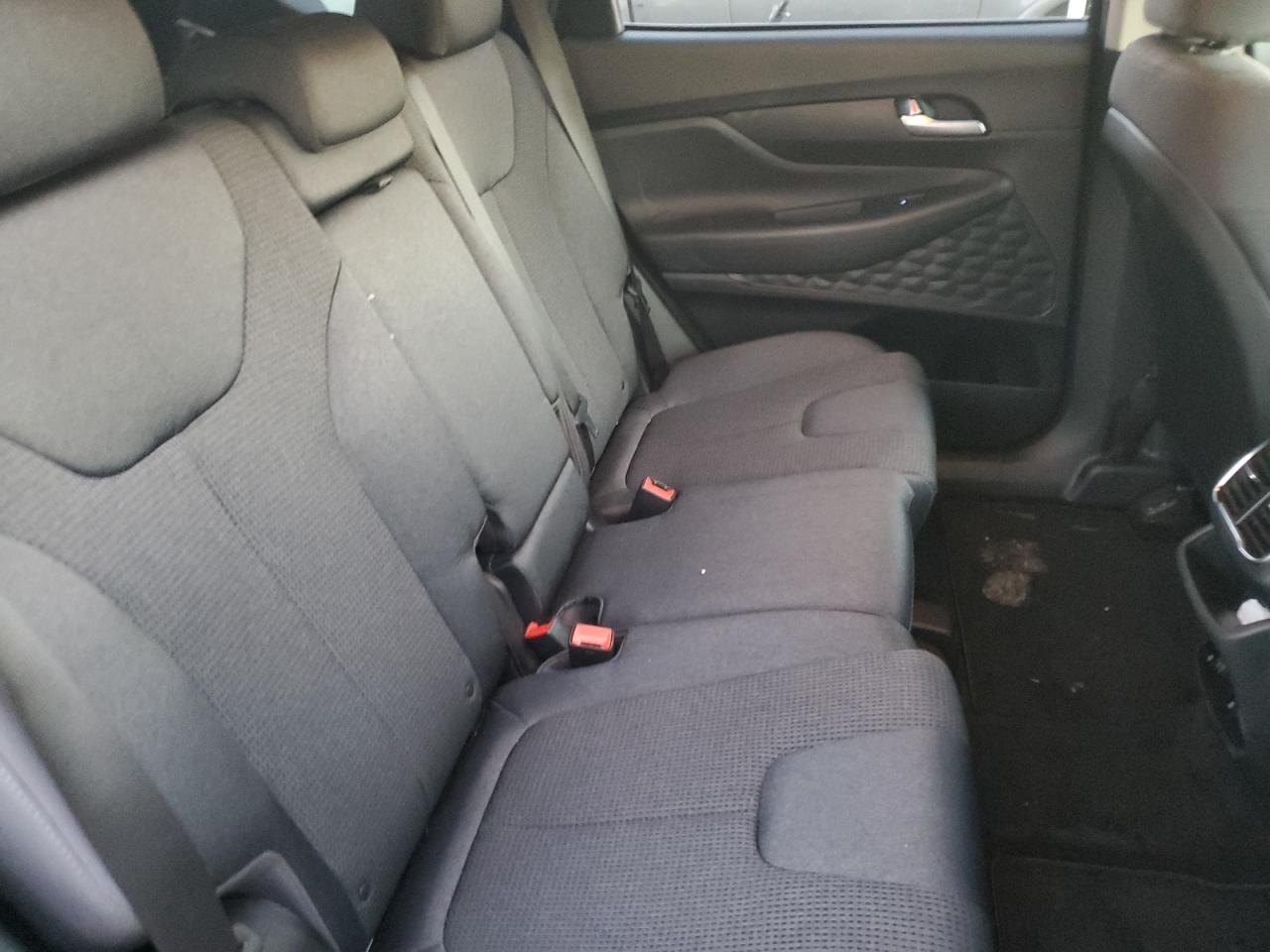 2019 Hyundai Santa Fe VIN 5NMS2CAD4KH115788 Copart auction photo, rear end damage thumbnail 10