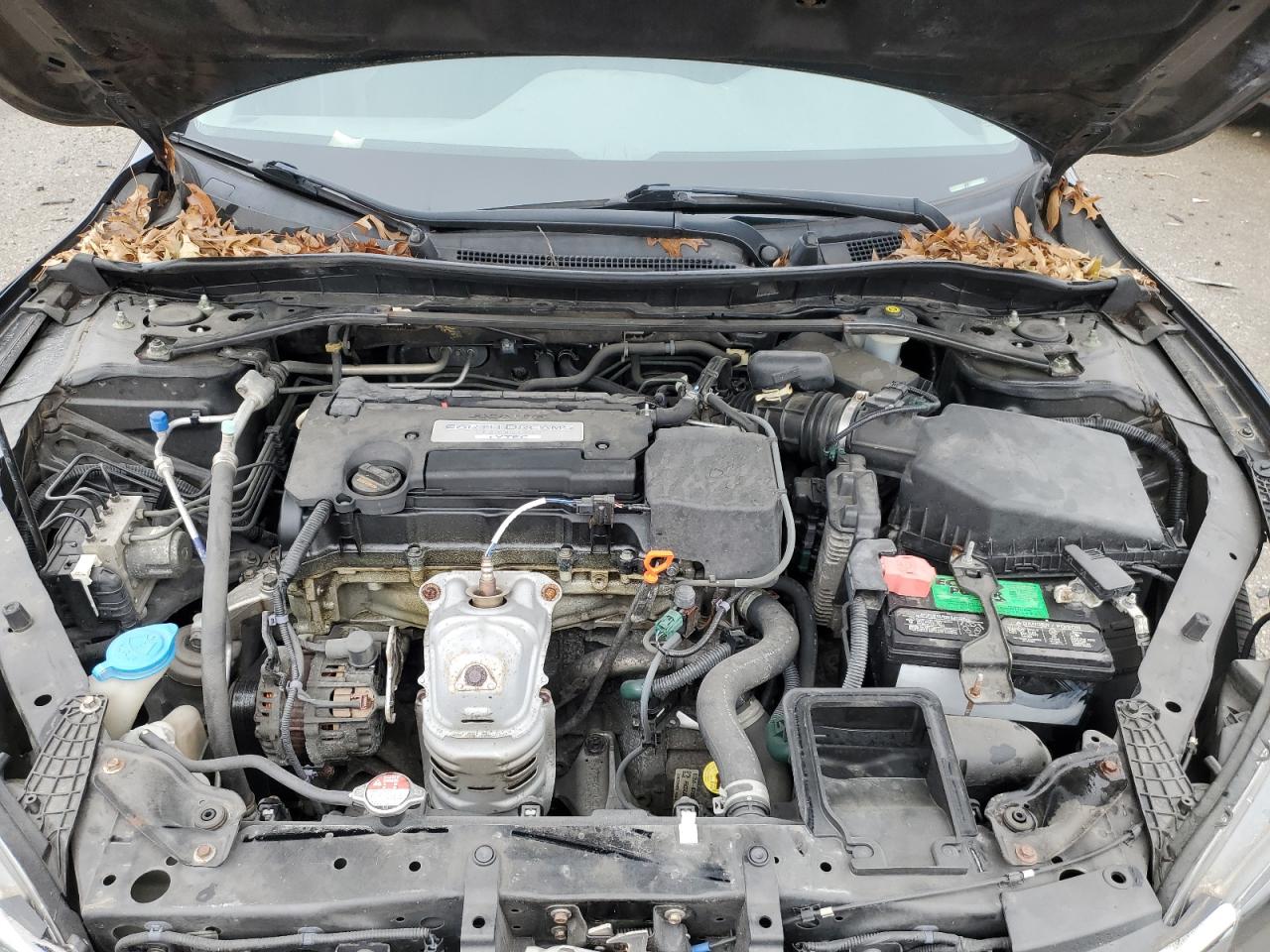 2015 Honda Accord VIN 1HGCR2F50FA184975 Copart auction photo, top/roof damage thumbnail 11