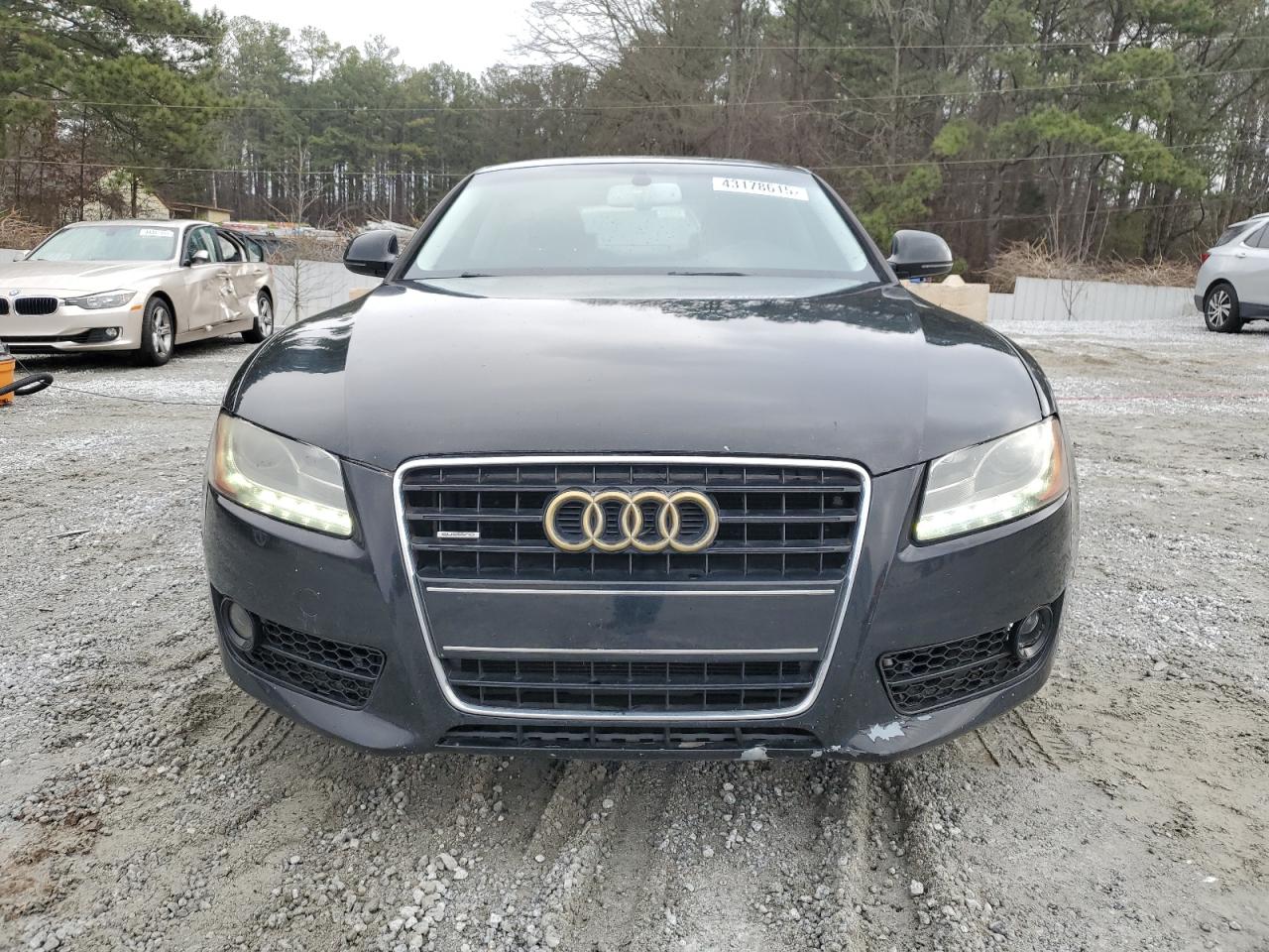 2009 Audi A5 VIN WAUDK78T49A024583 Copart auction photo, side / minor dent/scratches damage thumbnail 5