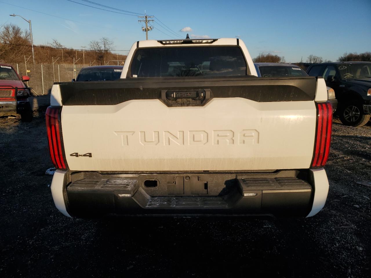 2024 Toyota Tundra VIN 5TFKB5DB1RX181657 Copart auction photo, side damage thumbnail 6