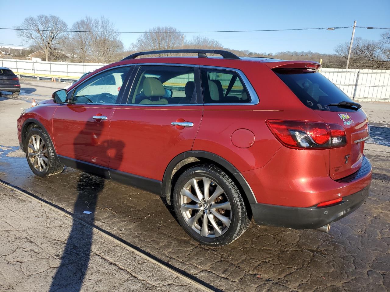 2014 Mazda CX-9 VIN JM3TB2DA1E0446887 Copart auction photo, side / minor dent/scratches damage thumbnail 2