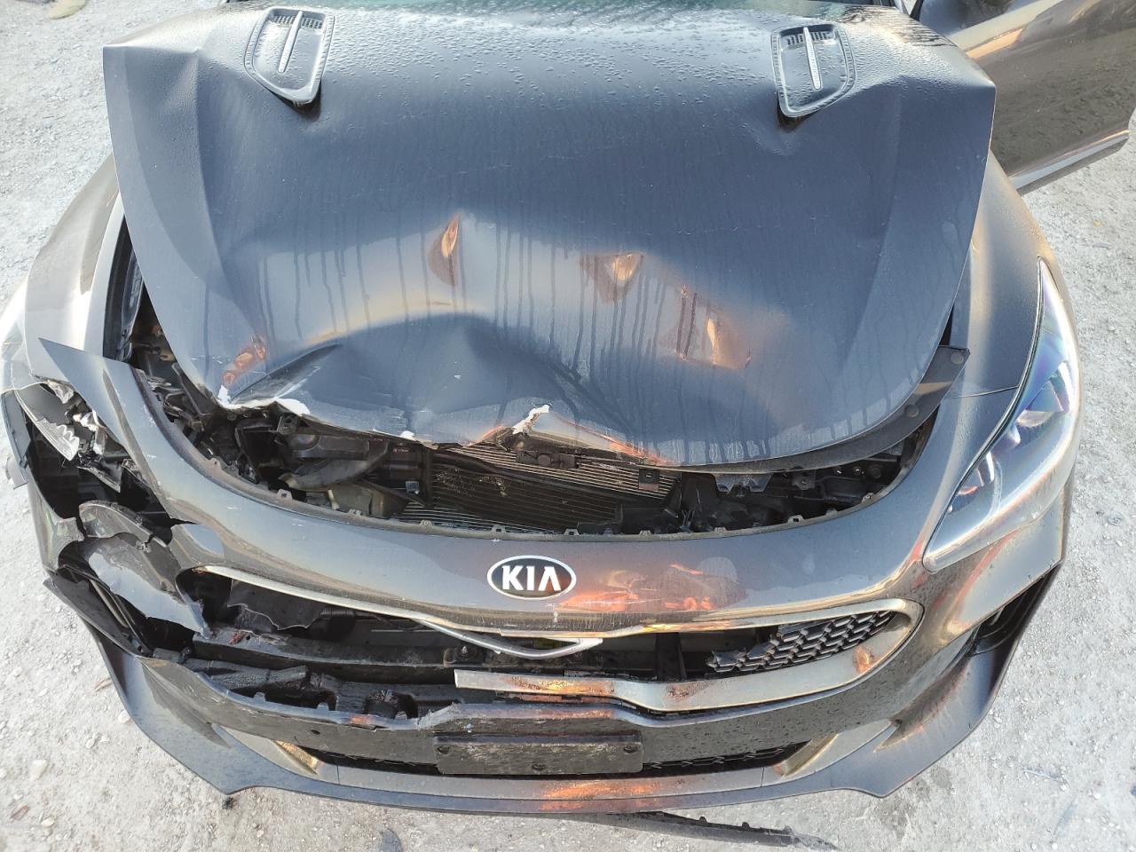 2019 KIA Stinger VIN KNAE45LC7K6059301 Copart auction photo, front end damage thumbnail 11