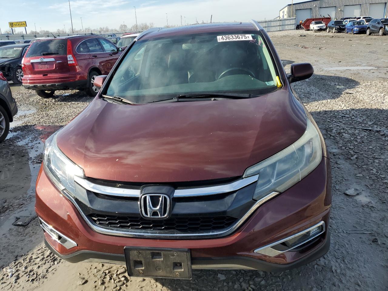 2015 Honda CR-V VIN 5J6RM4H77FL051047 Copart auction photo, rear end damage thumbnail 5