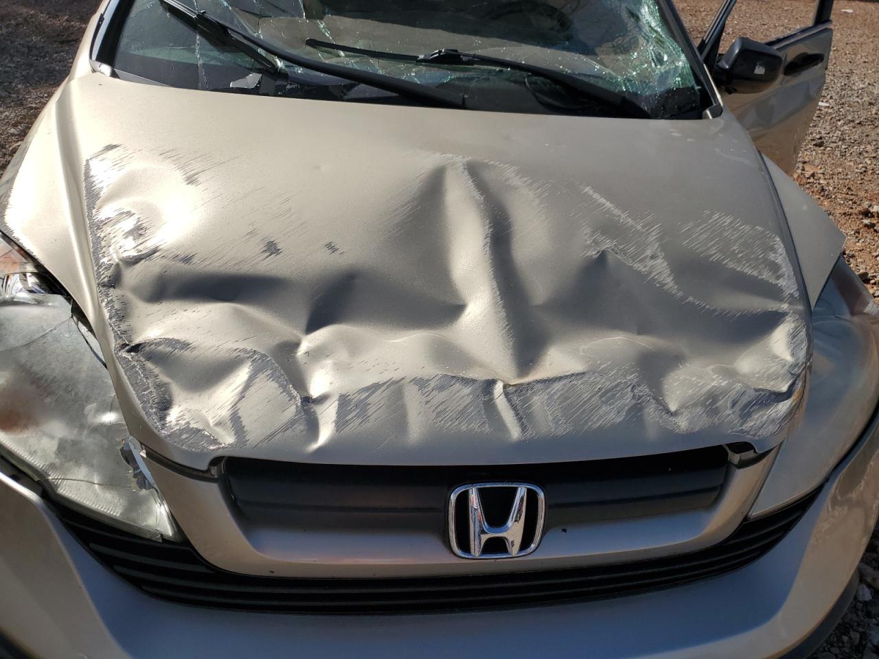 2009 Honda CR-V VIN 5J6RE38369L033292 Copart auction photo, all over damage thumbnail 14